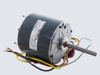 HC41GE231.jpg